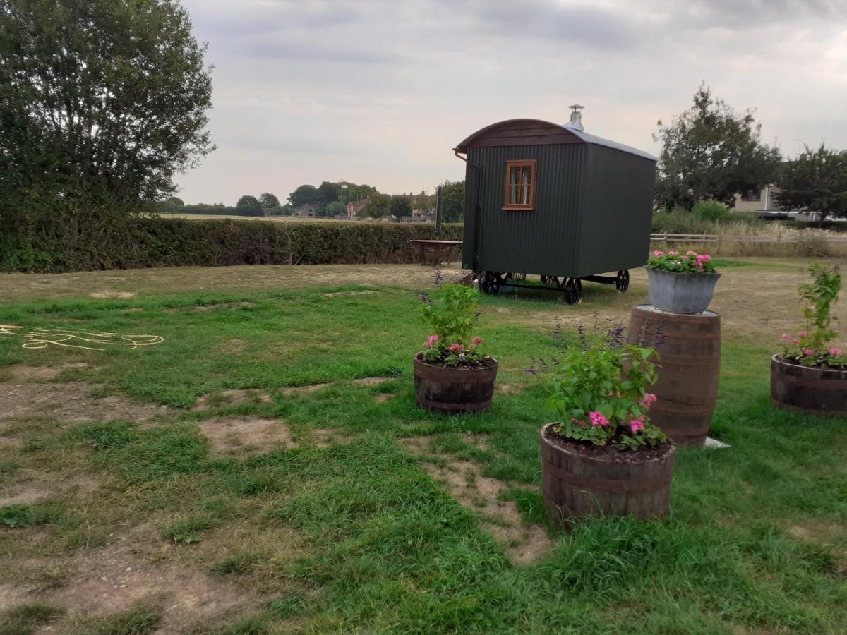 Glamping In Wiltshire In Our Luxury Shepherds Hut ชิปเพแนม ภายนอก รูปภาพ